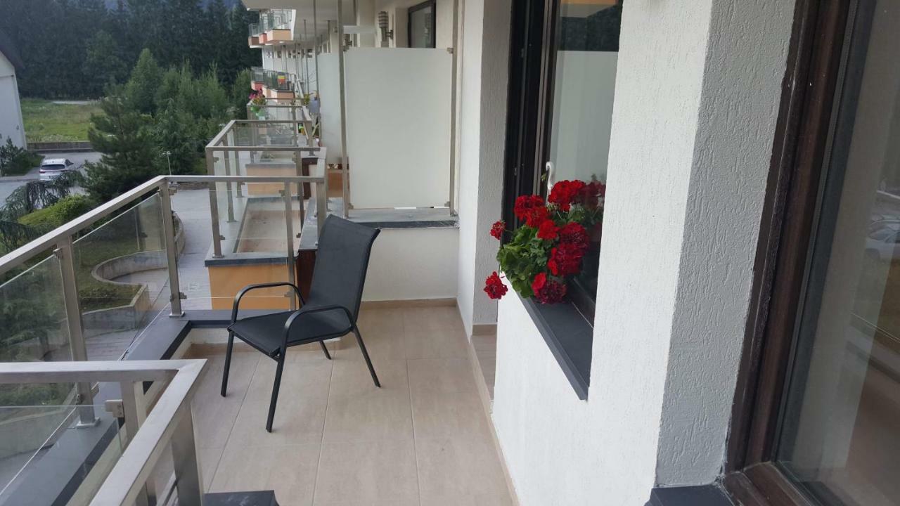 Ripsime Colina Marei Apartment Sinaia Exterior photo